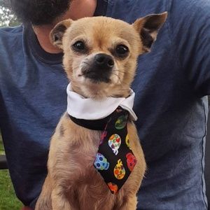 Meet your Posher, David